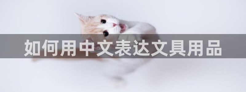 九游会怎么注册：如何用中文表达文具用品