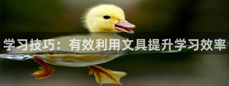 九游会线上：学习技巧：有效利用文具提升学