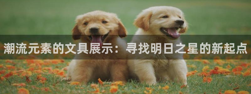 九游会官网九游会登录：潮流元素的文具展示