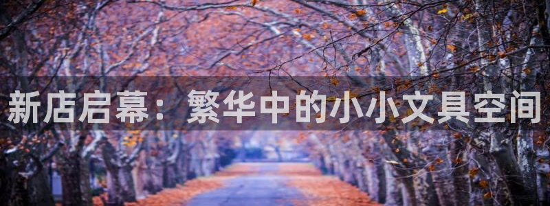 九游会登录：新店启幕：繁华中的小小文具空