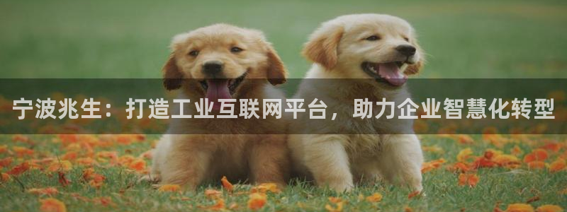 九游会视讯厅：宁波兆生：打造工业互联网平