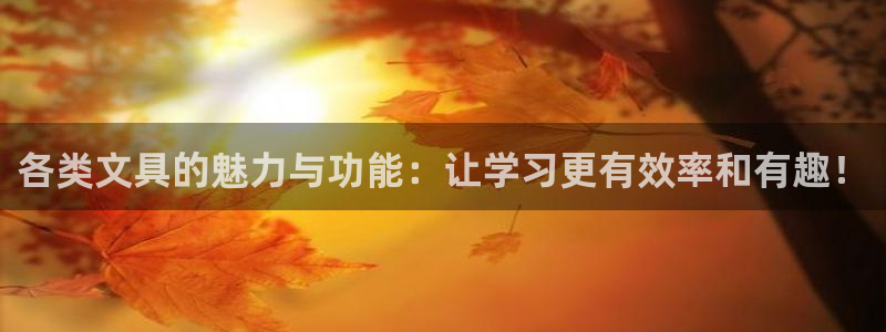 九游会网站ag8：各类文具的魅力与功能：