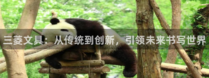 九游会波胆：三菱文具：从传统到创新，引领