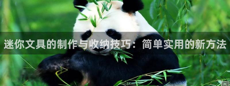 九游会体育-首页：迷你文具的制作与收纳技