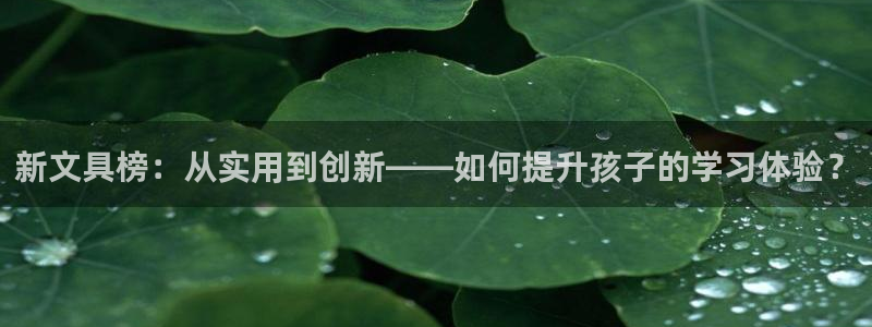 九游会网络：新文具榜：从实用到创新——如