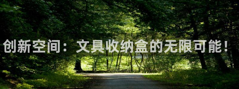 j9九游会：创新空间：文具收纳盒的无限可