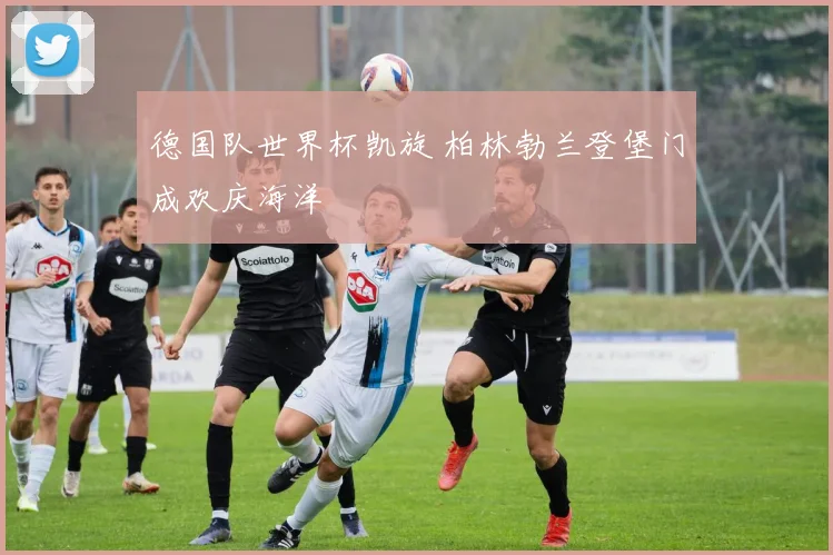 德国队世界杯凯旋 柏林勃兰登堡门成欢庆海洋