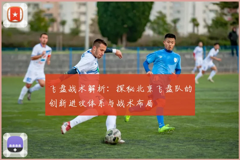 飞盘战术解析：探秘北京飞盘队的创新进攻体系与战术布局